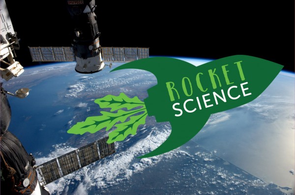 COLCHESTER HIGH SCHOOL TO GROW SEEDS FROM SPACE!