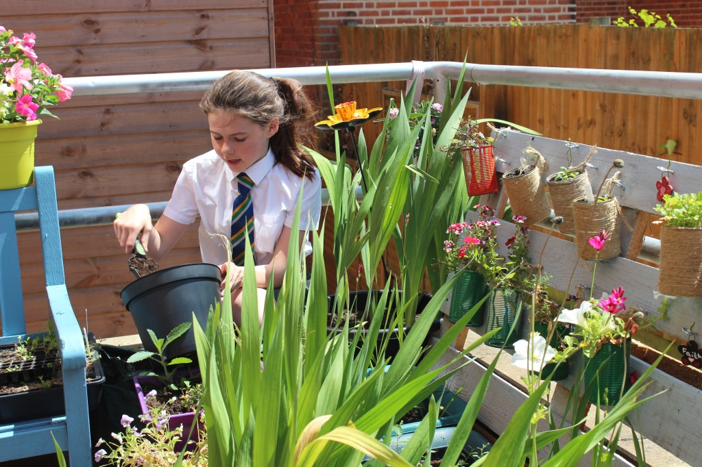 CHS Pupil Shortlisted for RHS School Gardener of the Year Award - Kizzy